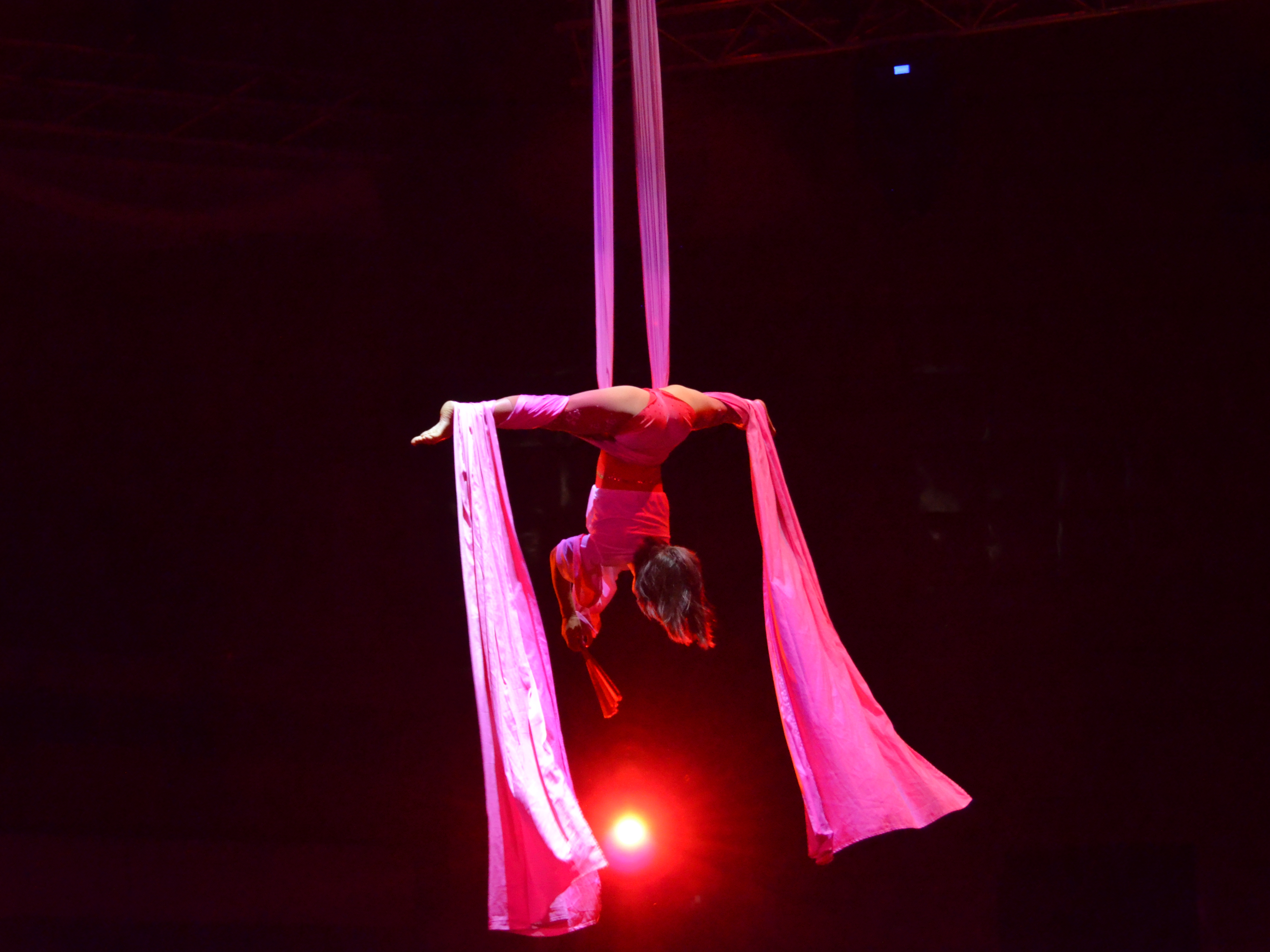 Book Aerialist for your event